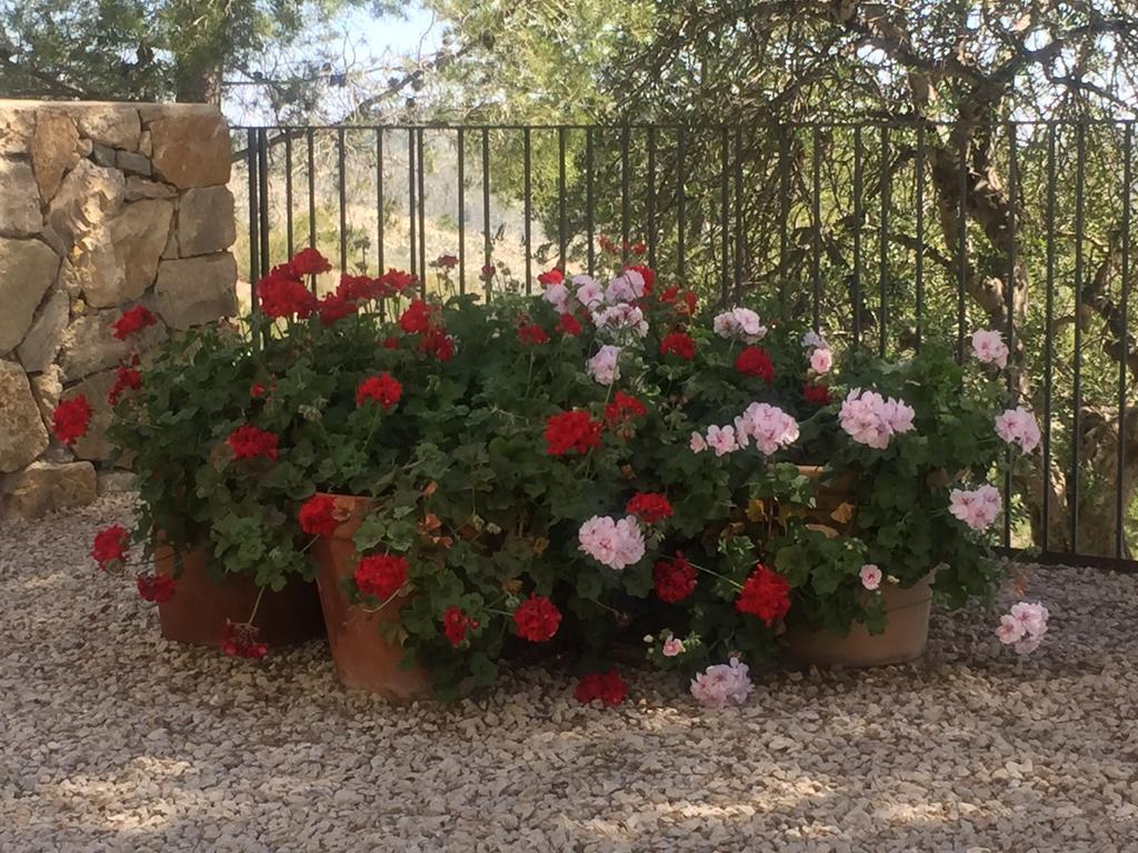 Finca El Otero Aigues Exterior photo